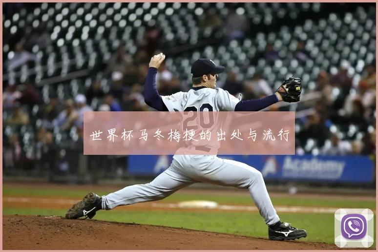 世界杯马冬梅梗的出处与流行