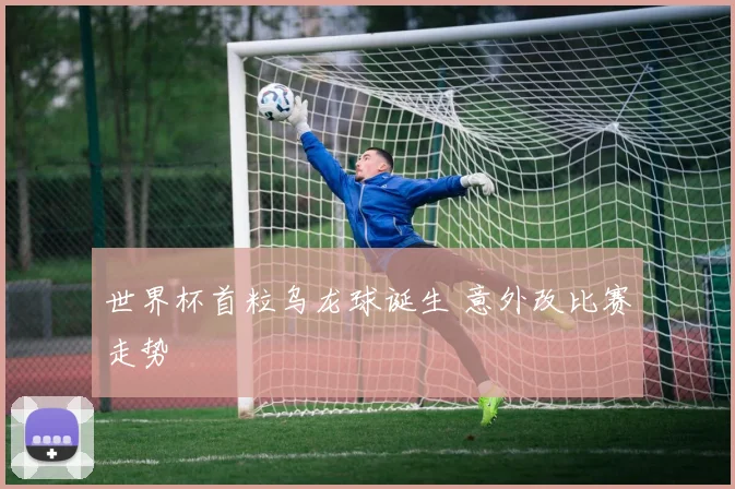 世界杯首粒乌龙球诞生 意外改比赛走势