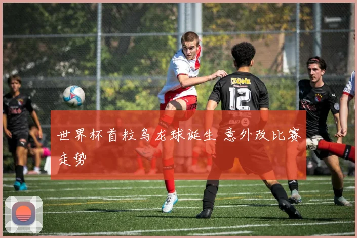 世界杯首粒乌龙球诞生 意外改比赛走势