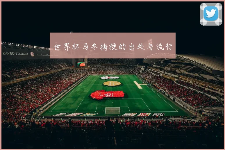 世界杯马冬梅梗的出处与流行
