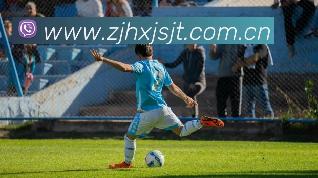 leyu乐鱼网页发展历程